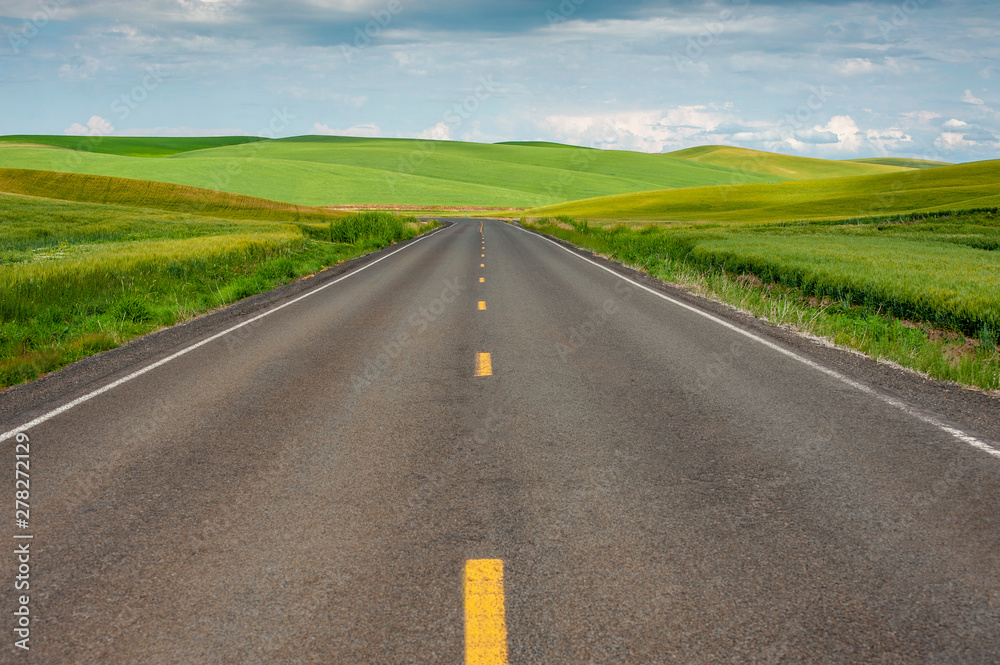 Picturesque Rural Road Through the Palouse Area of Eastern Washington State. Road through the agricultural heartland of the Palouse runs through wheat fields heading to the horizon. 