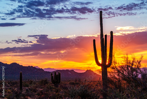 Vibrant Arizona Desert Sunrise With Cactus & Mountains In Background.