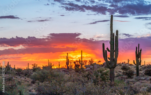 Fiery Desert Sunrise In Brown Ranch Preseve In Scottsdale, AZ © Ray Redstone