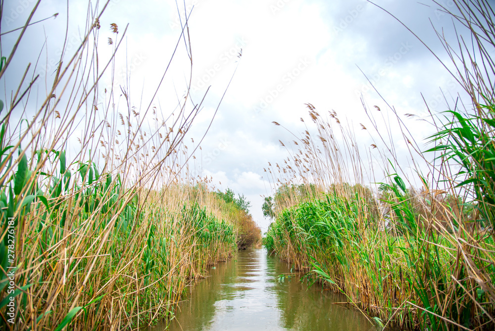 Obraz premium Danube Delta view