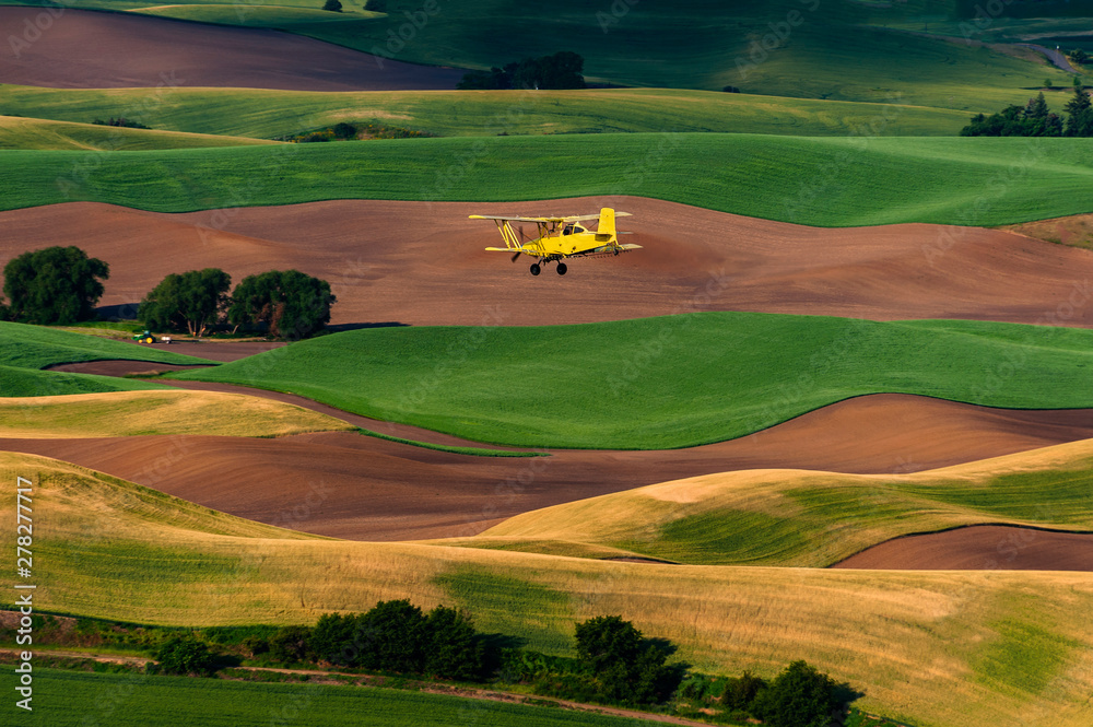 Yellow Biplane Crop Duster Flying Over Farmlands. A crop duster works the wheat and lentil fields of the palouse area of eastern Washington state near Steptoe Butte State Park.
