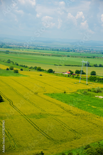 Traces in wheat field © Ivanica