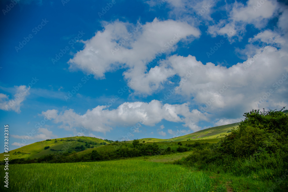 Springtime landscape