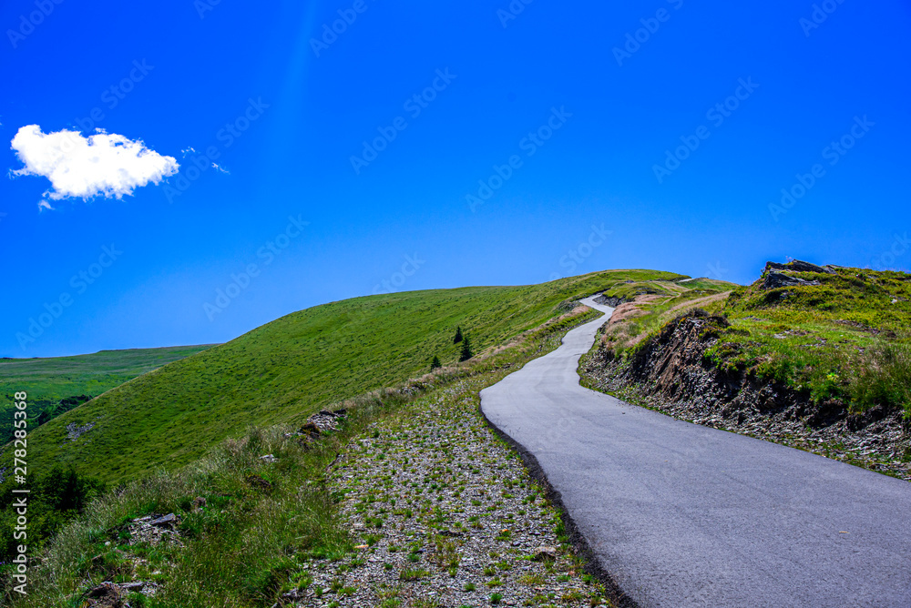 Summer landscape Summer landscape