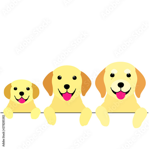 three generations of dogs border