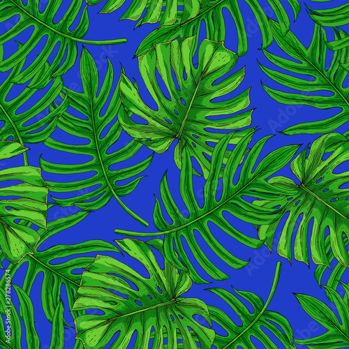 Different leaves of palm on a blue background