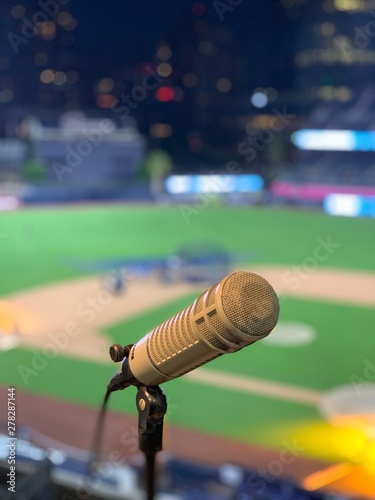 Vászonkép Baseball Mic