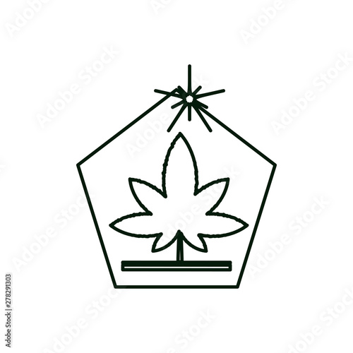 frame with cannabis leaf plant