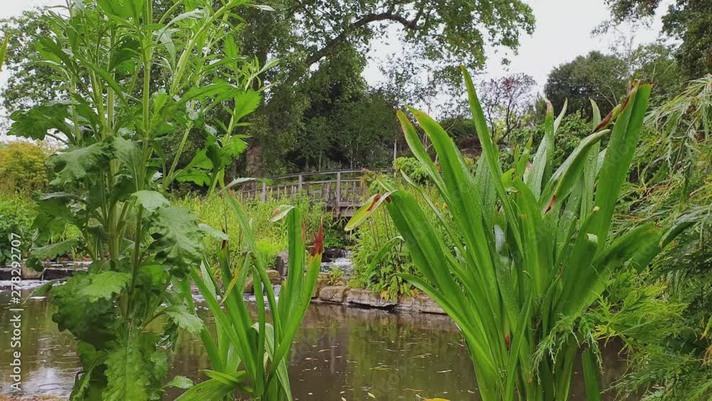 Backwards Shot Of A Lake And Waterfall Framed With Two Plants On A Beautiful Park In London - Regent's Park - United Kingdom - 4K 60fps Backwards Shot Of A Lake And Waterfall Framed With Two Plants On A Beautiful Park In London - Regent's Park - United Kingdom - 4K 60fps