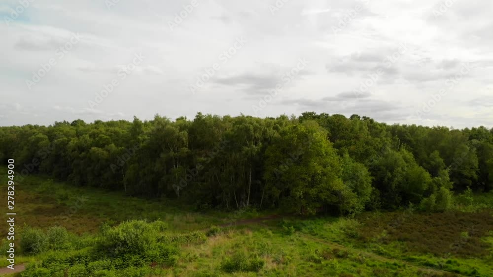 Raising drone shot, Aerial view of Wimbledon Common with a view of London city, establish shot. Raising drone shot, Aerial view of Wimbledon Common with a view of London city, establish shot.