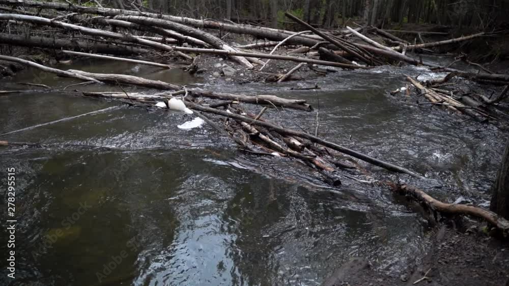 Stream flowing through beaver dams slomo (x2) Stream flowing through beaver dams slomo (x2)