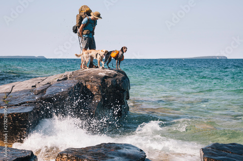 Hiker with dogs on shore photo