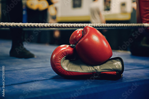 Boxing gloves in the floor ring
