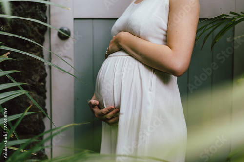 Pregnant Mother In Mid 20s
