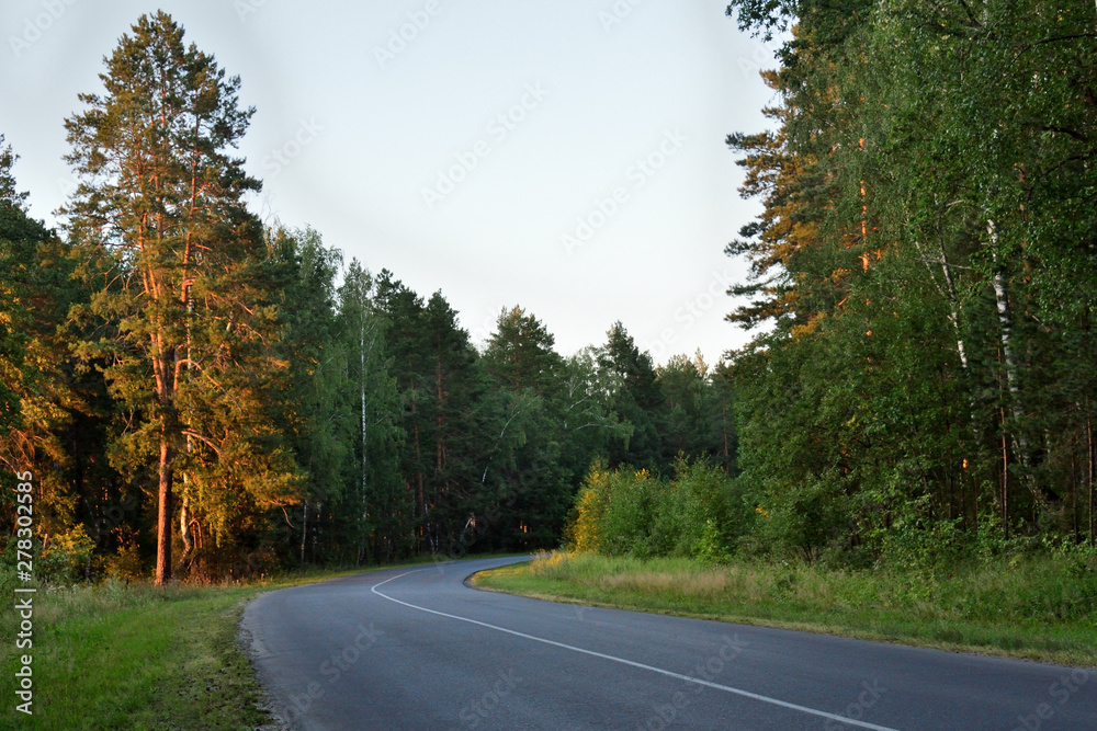 Journey through the highway through the old untrodden forest. During sunset. Journey through the highway through the old untrodden forest. During sunset.
