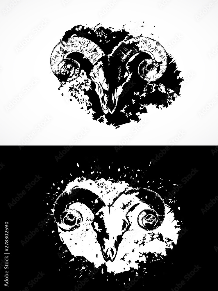 Fototapeta premium Vector illustration with wild ram skulls. Two variants: black and white silhouettes with grunge texture and spots.