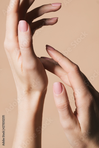Woman's Hands photo