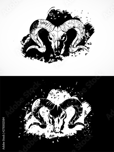 Vector illustration with wild ram skulls. Two variants: black and white silhouettes with grunge texture and spots.