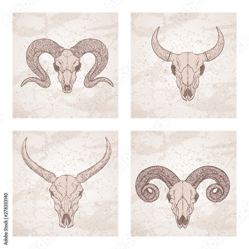 Vector set of four illustrations with hand drawn skulls wild buffalo, bull and ram on vintage background. Sketch in beige color.