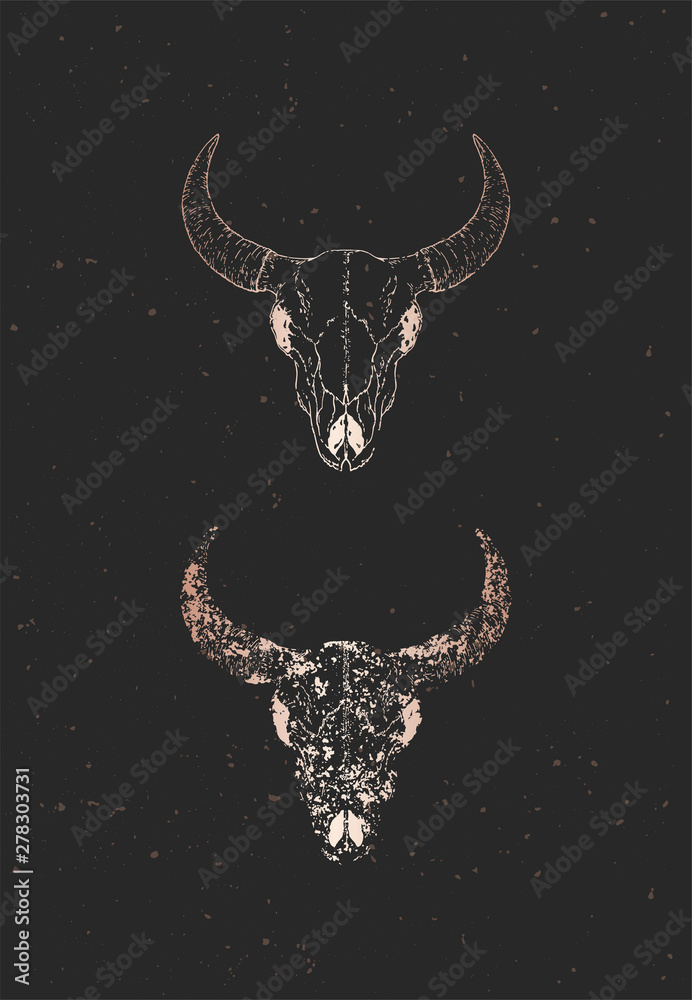 Fototapeta premium Vector illustration with two variants of hand drawn bull skulls on black background. Gold silhouettes and contour with grunge texture.