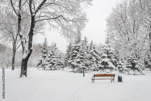 Snowy Landscape with Snowy Benches