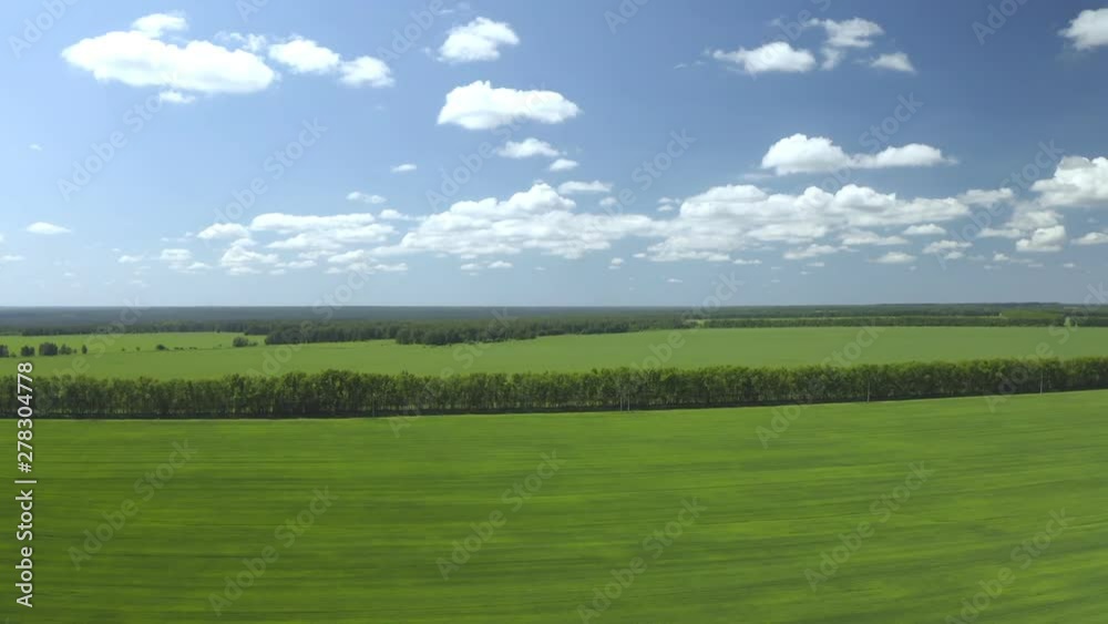 An aerial shot of soybean field ripening at spring season, agricultural landscape An aerial shot of soybean field ripening at spring season, agricultural landscape