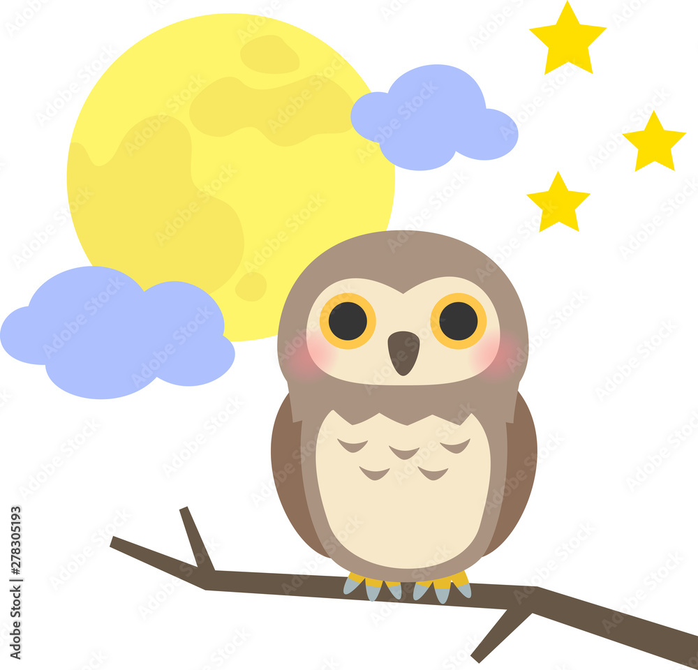 Fototapeta premium フクロウと夜空