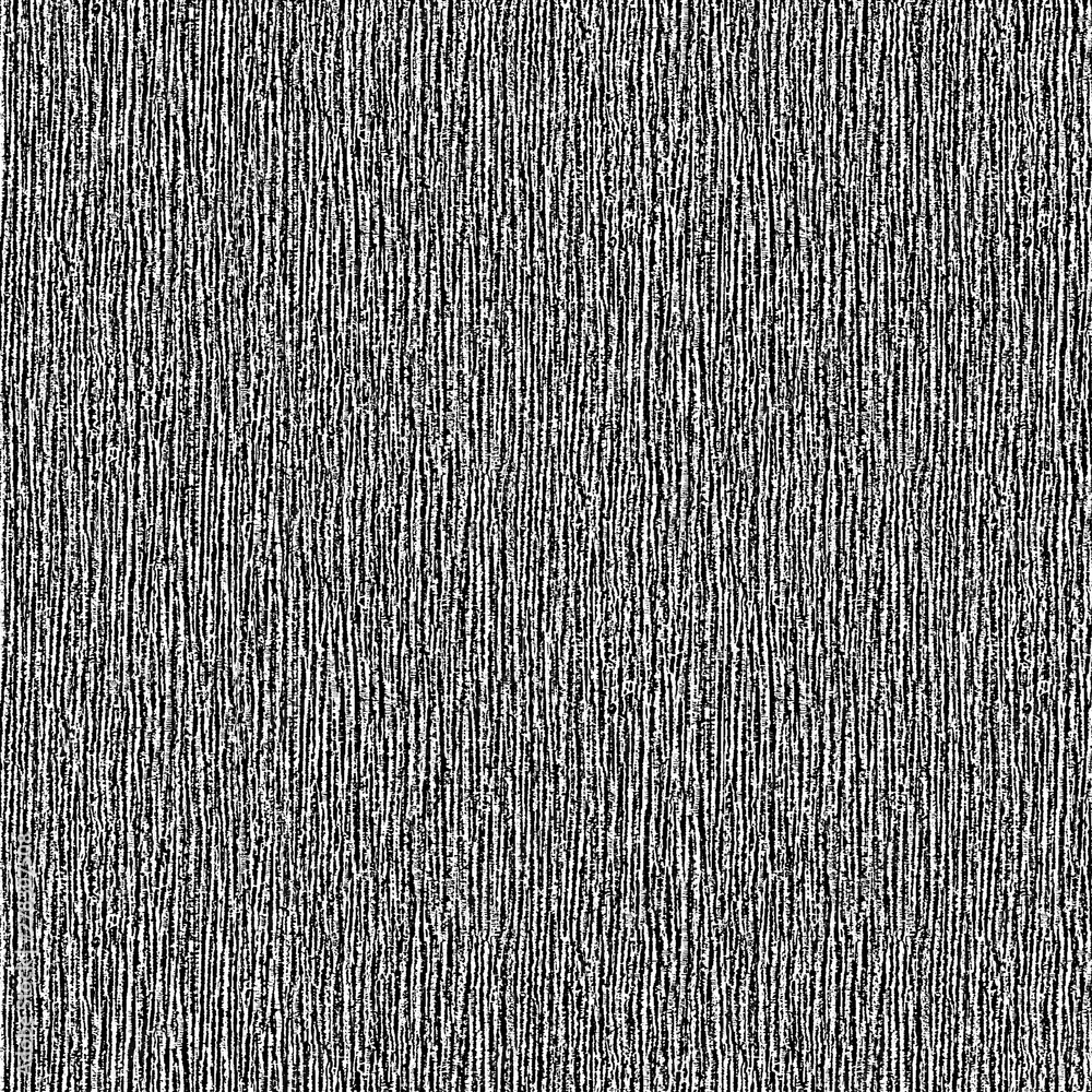 Texture black and white grunge. Background of cracks, chips, scuffs. Vintage surface covered with stains and dirt. For posters, banners, retro and urban design Texture black and white grunge. Background of cracks, chips, scuffs. Vintage surface covered with stains and dirt. For posters, banners, retro and urban design