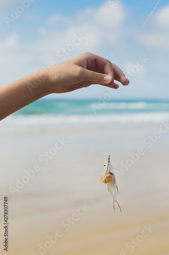 a fish caught on a hook