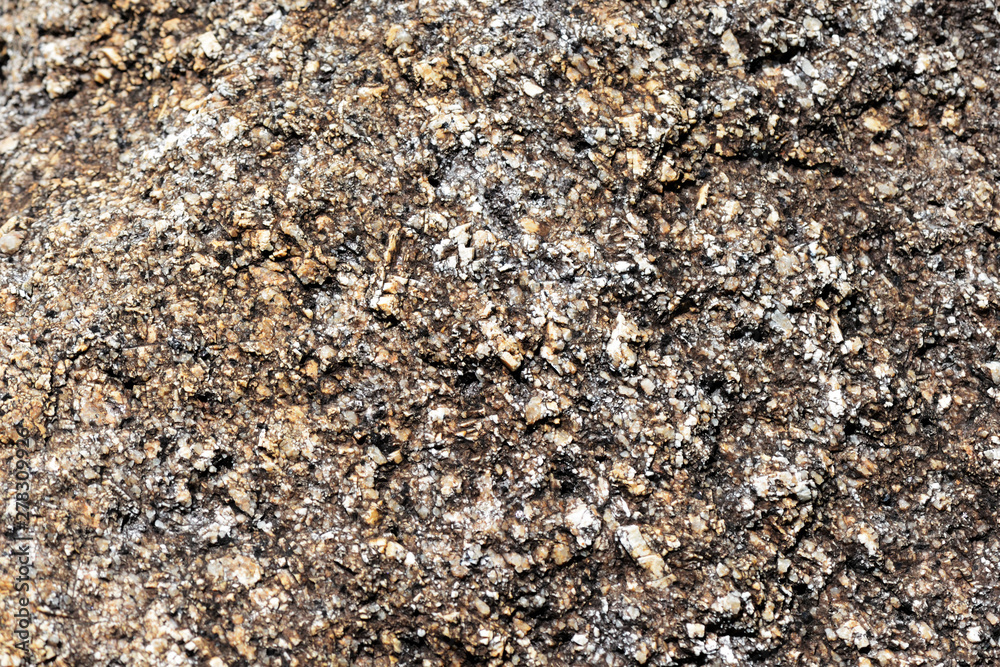 Texture of rocks on the seashore close-up. Natural stone background Texture of rocks on the seashore close-up. Natural stone background