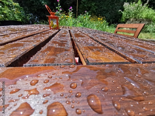 railway in the forest