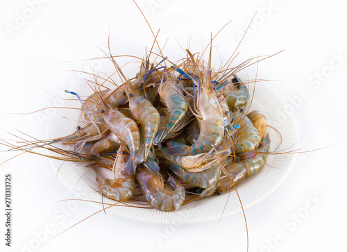 Fresh Shrimp on a white plate, on white background © Saravut