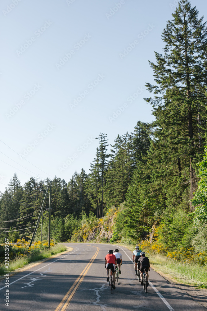 Group road bike ride in nature Group road bike ride in nature