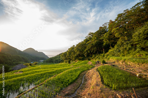 Japanese style rice field(Tanada), Japan