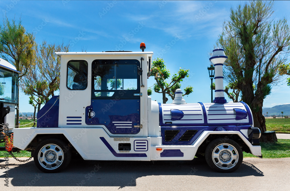 Obraz premium sightseeing locomotive with wagons