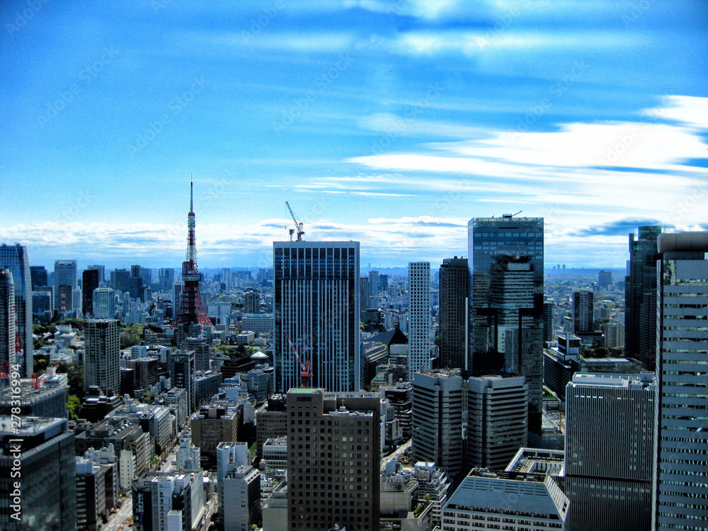 Obraz premium Cityscape of Tokyo, Japan.