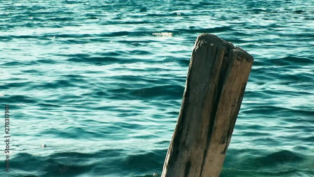 Damaged Plank Protruding From Dock With Beautiful Blue Water in Background Damaged Plank Protruding From Dock With Beautiful Blue Water in Background