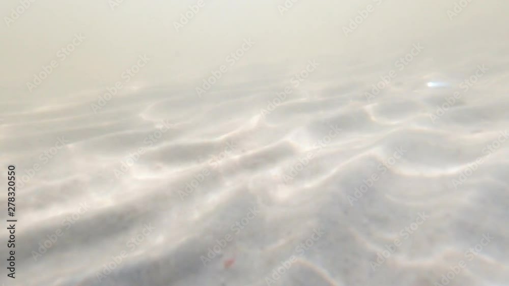 Bubbles rise from the sandy bottom. Slow motion Bubbles rise from the sandy bottom. Slow motion