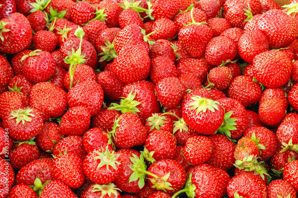 Large box of ripe tasty strawberries. Summer harvest.