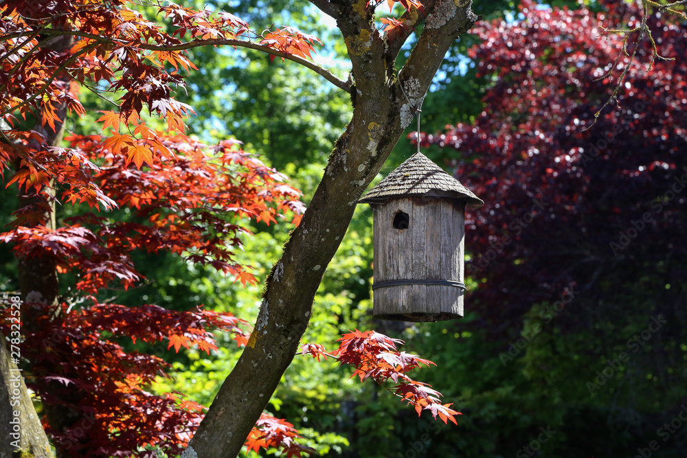 A wooden birdhouse hangs from a tree A wooden birdhouse hangs from a tree