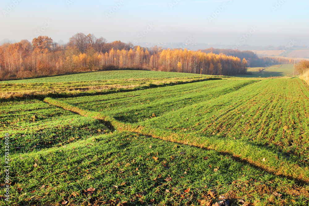 Arable fields in autumn