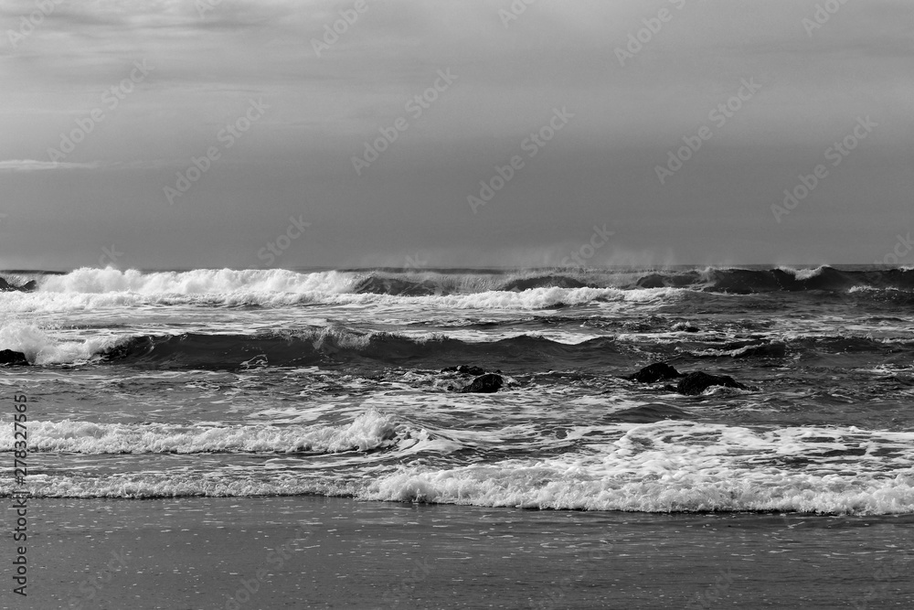 waves on beach retro black and white