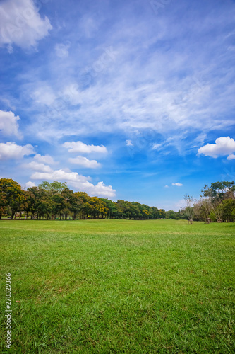 Beautiful park scene in public park with green grass field 