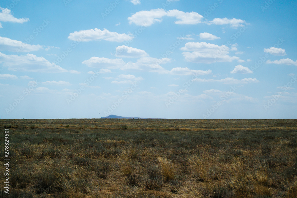 Steppe landscape. Lonely green plants on dry, hot sand