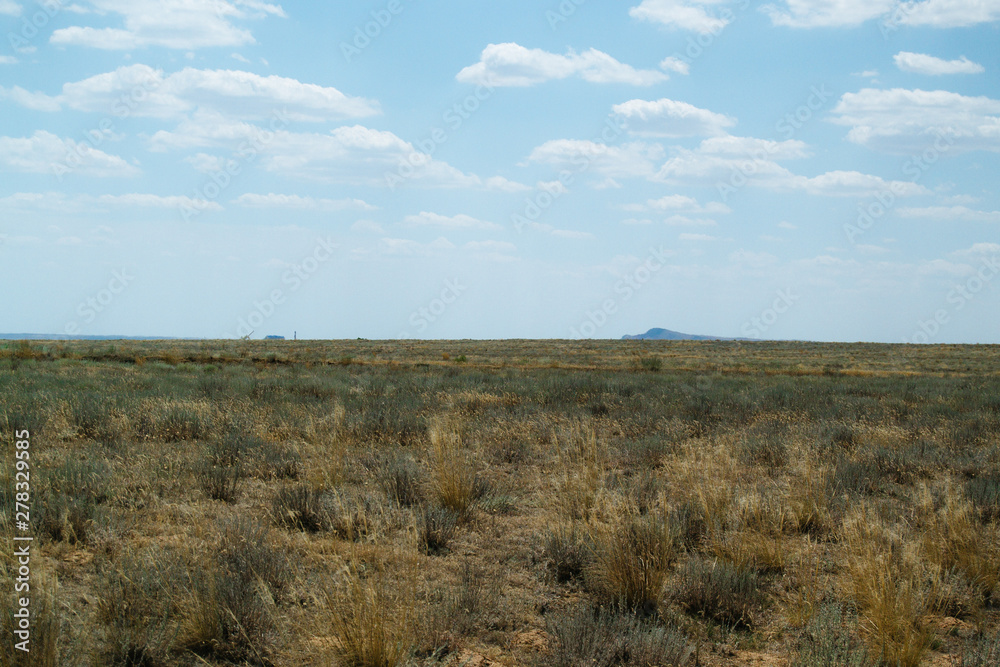 Steppe landscape. Lonely green plants on dry, hot sand Steppe landscape. Lonely green plants on dry, hot sand