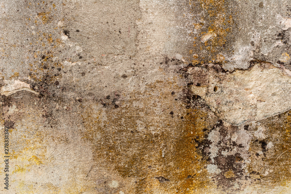 Texture of a concrete wall with cracks and scratches which can be used as a background Texture of a concrete wall with cracks and scratches which can be used as a background