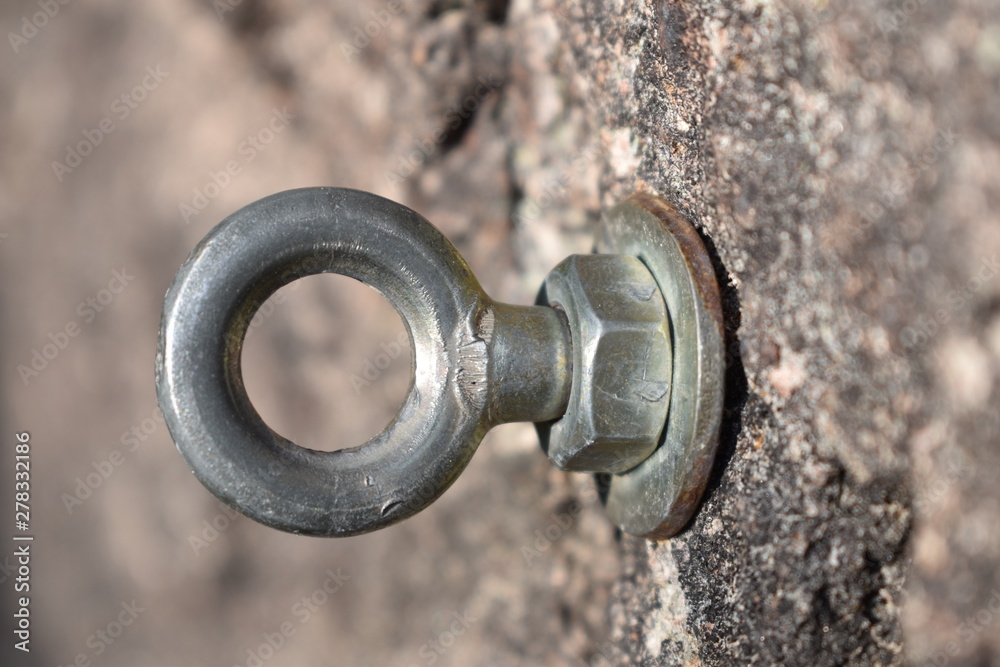 detail of steel bolt anchor eye in rock
