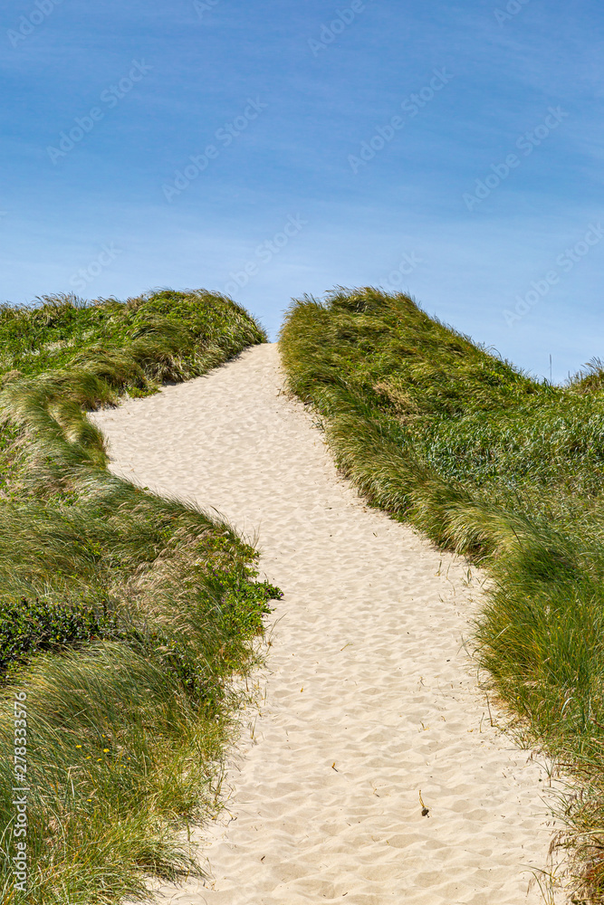 Looking up a pathway on a sand dune at the Oregon coast, on a sunny summers day