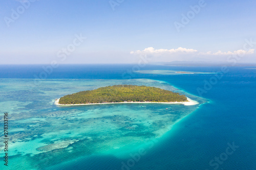 Patongong Island, Palawan, Philippines. Tropical island with palm forest and white sand. Atoll with a green island, view from above. © Tatiana Nurieva