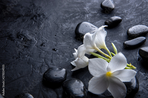 zen basalt stones with frangipani flower on dark table background